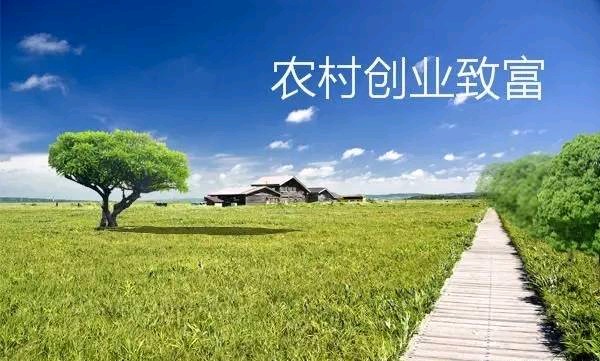 农村什么机器最有前景赚钱,农村最有前途的四种生意回报