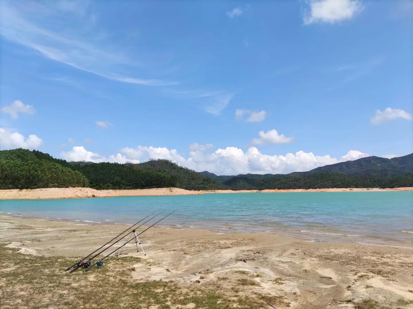 胆囊炎胆结石胆总管结石,胆结石胆囊炎胆总管结石手术