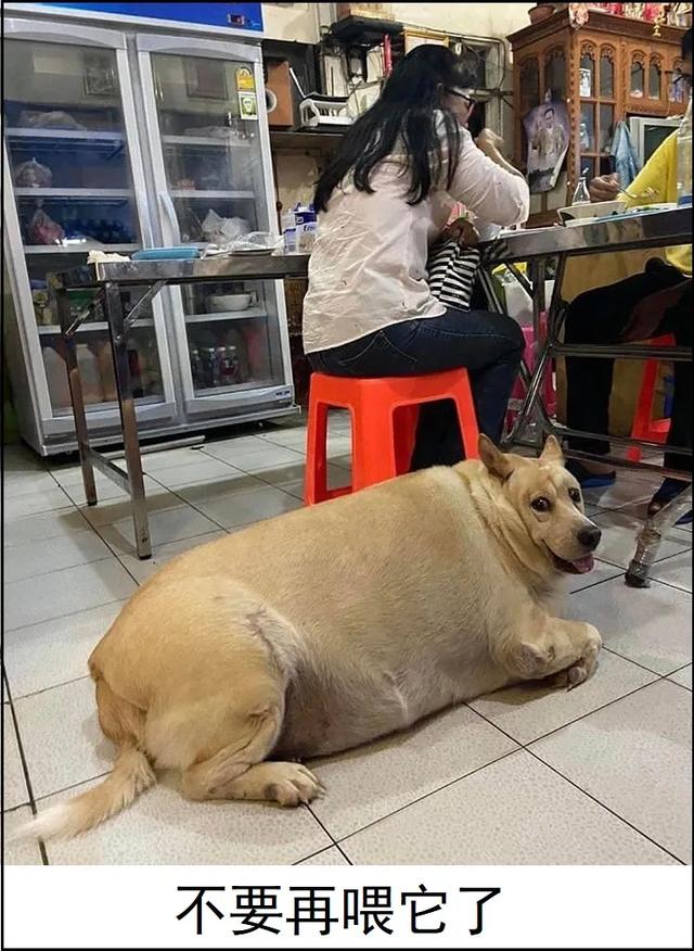 求兼职的表情包,表情包兼职可靠吗