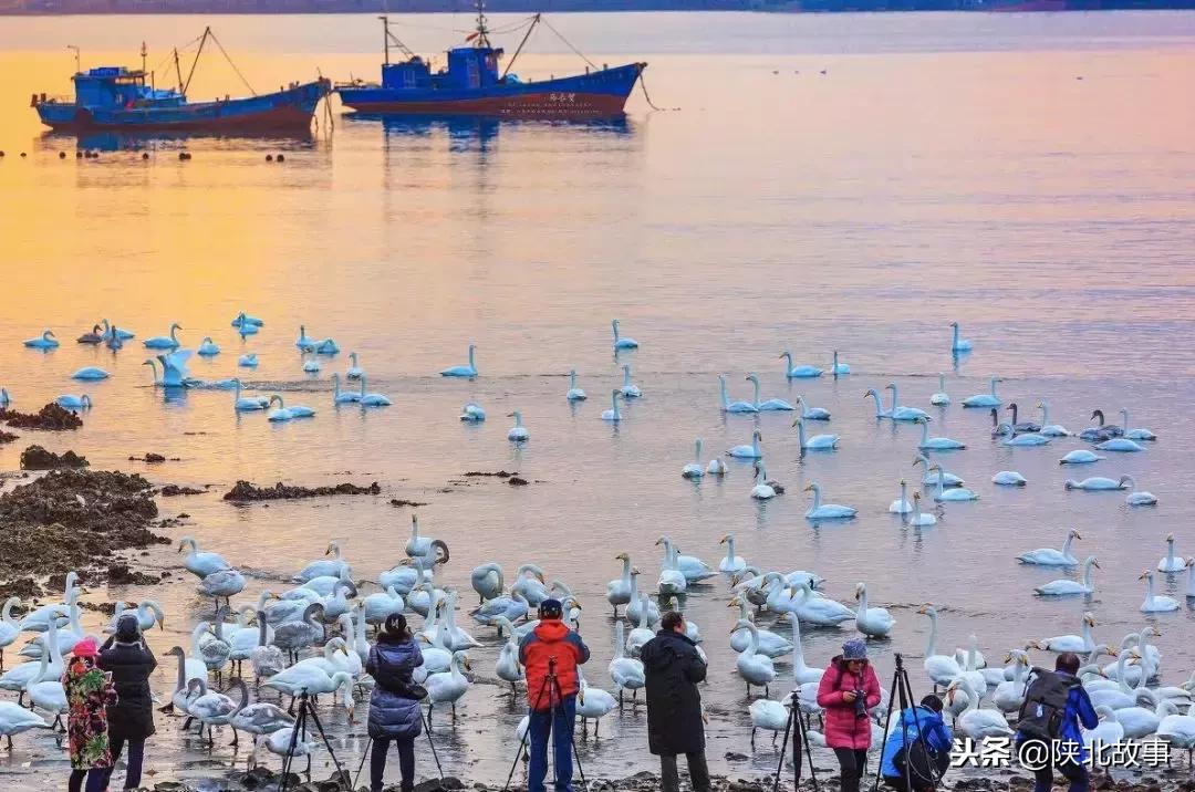 这个最适合冬天来的北方小城，光是海鲜就能让你吃回票价