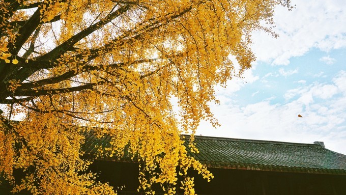 杭州西湖乌镇苏州南京上海攻略,天青色等烟雨乌镇旅游