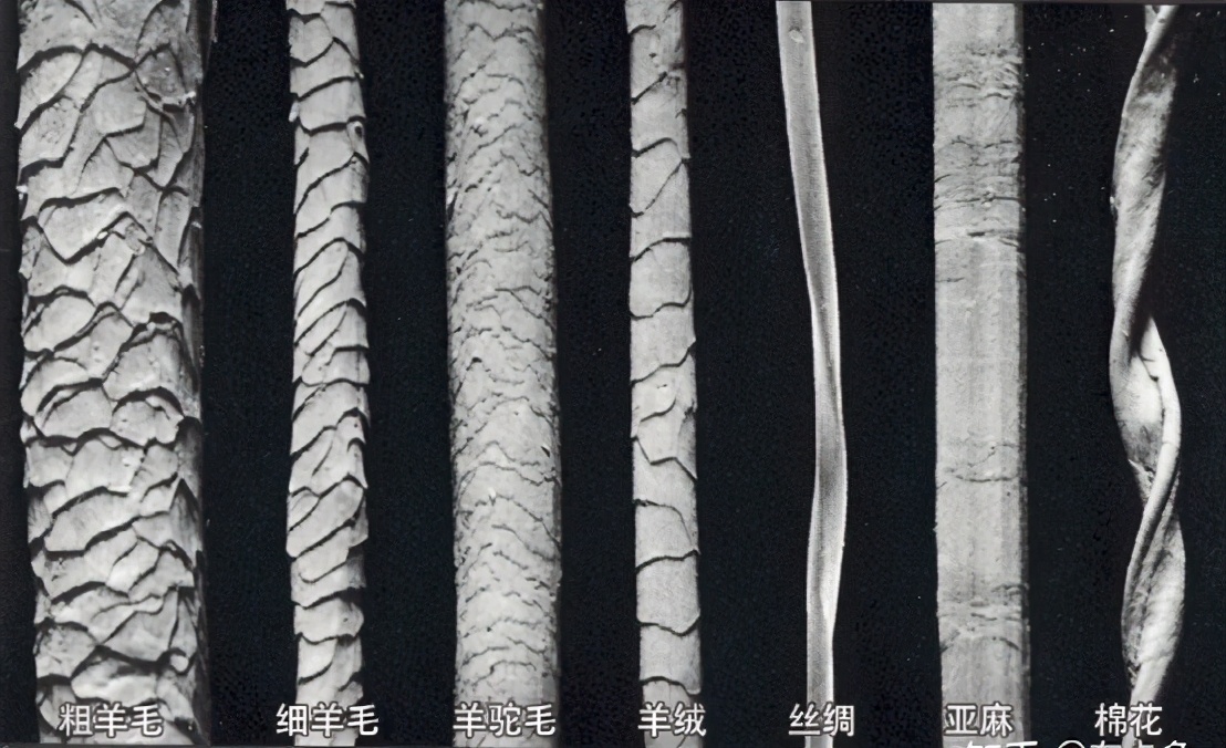 治沙对策和措施,治沙的最好办法