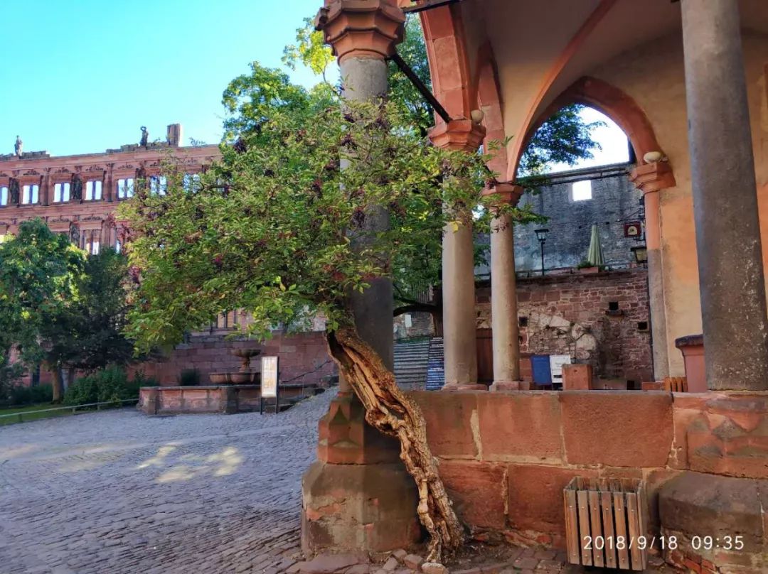 海德堡德国旅游视频,德国海德堡旅游攻略