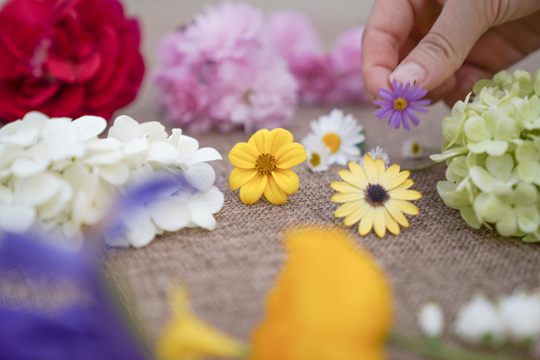 收藏春天的教程,怎么收藏春天