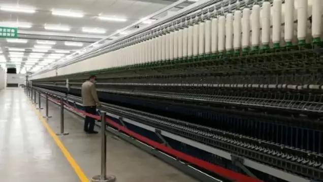 小今“拍了拍”你,关键词“回升”!