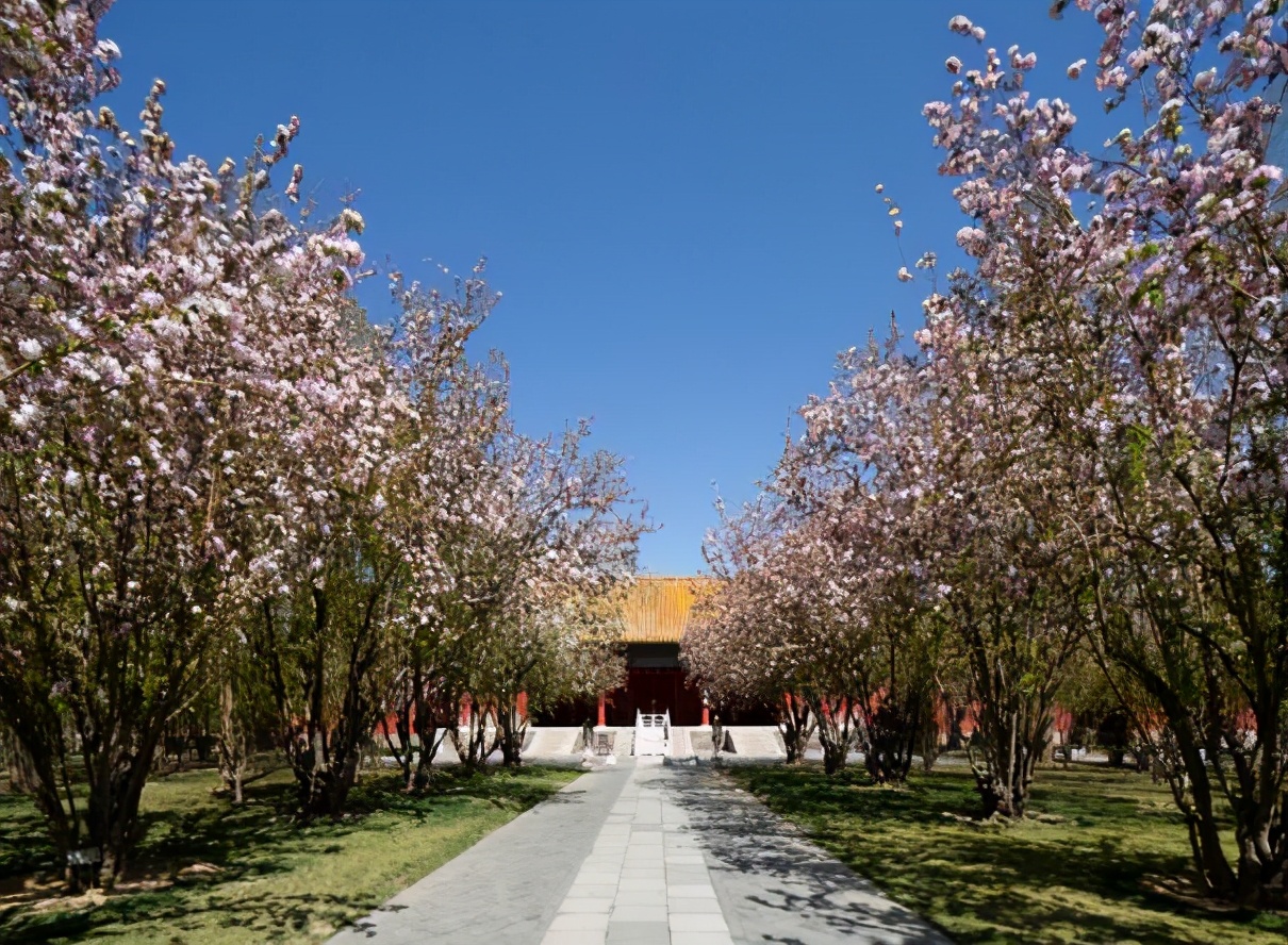 故宫散文游记2000字,故宫之美散文