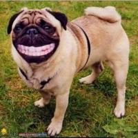 微信昵称隐私有什么讲究,原来微信中隐藏这么多实用功能