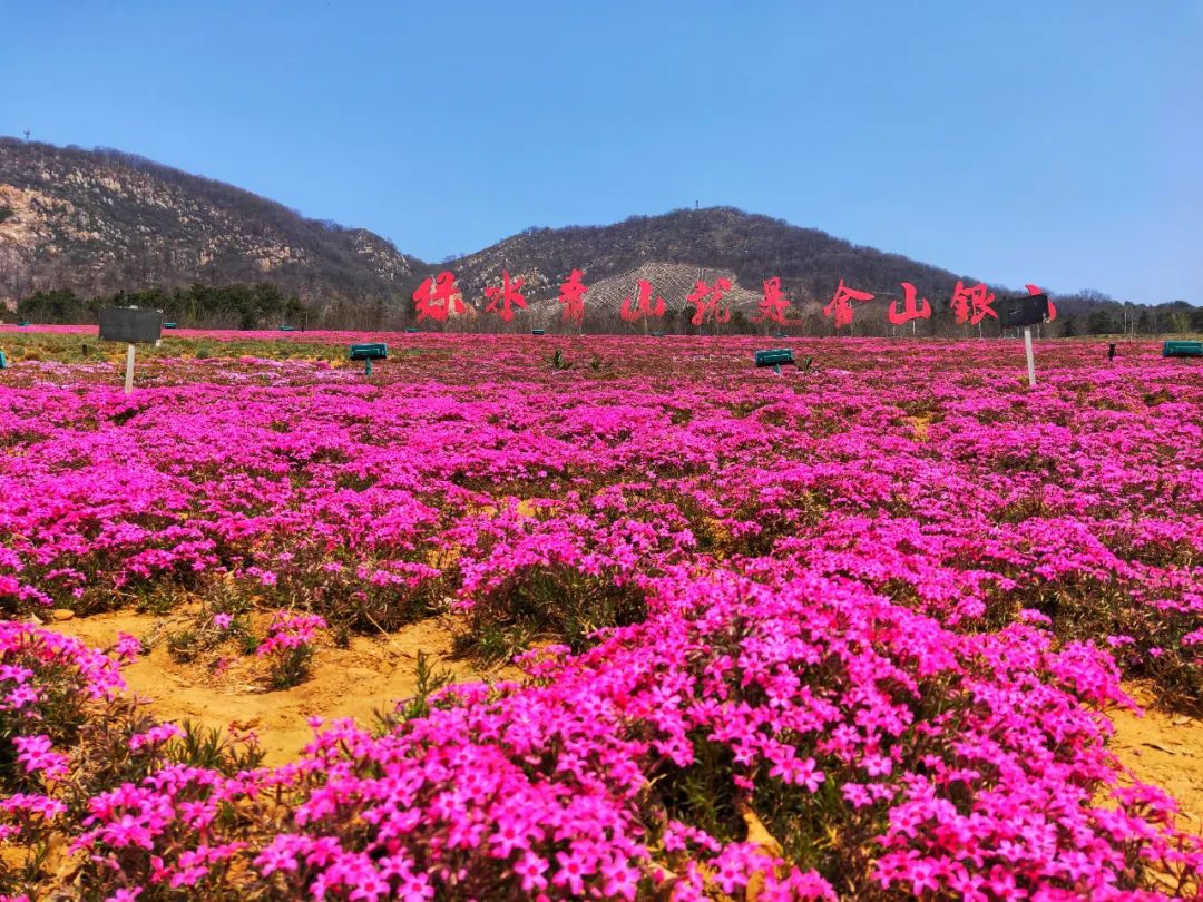 西郊山林休闲养生度假公园,休闲好去处西郊森林公园