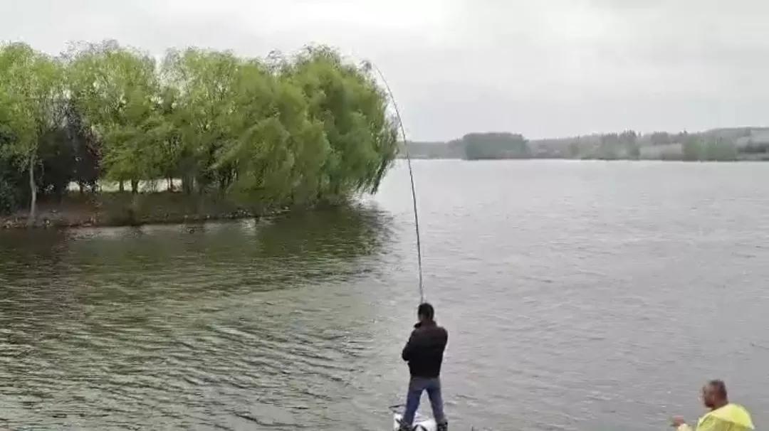 1.0子线遛十斤大鲤鱼,野钓10斤鲤鱼遛鱼技巧