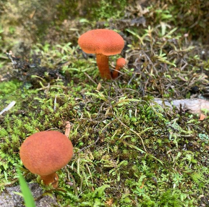 在邛海边吹着风,在邛海边吹吹风