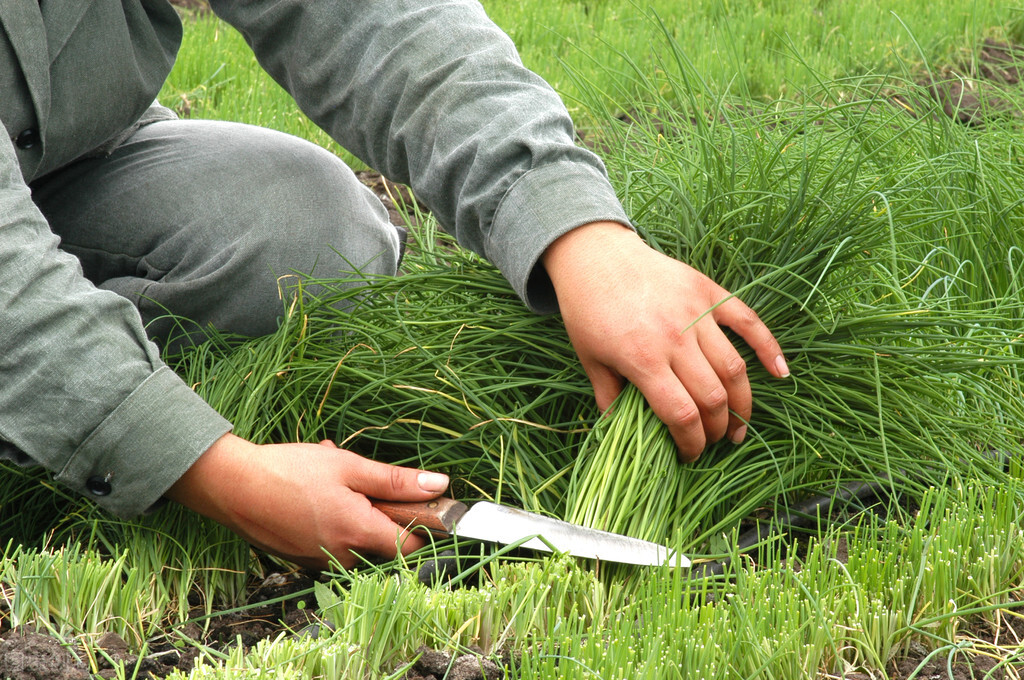 食疗养生加盟怎么避坑,剧本杀加盟避坑指南