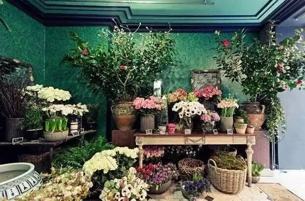 以后一定要开个花店,现在开个花店好吗