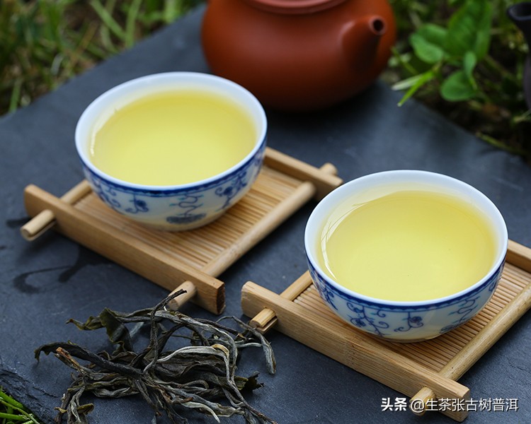 冰岛古树普洱茶口感怎么样,普洱茶弯弓古树的特点和口感