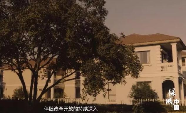 宋卫平离开绿城房产的真实现状,宋卫平开发的楼盘