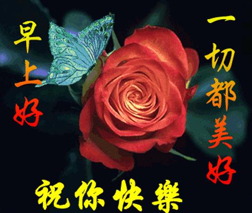 最美的早上好的问候语表情图,最美早晨问候祝福语图