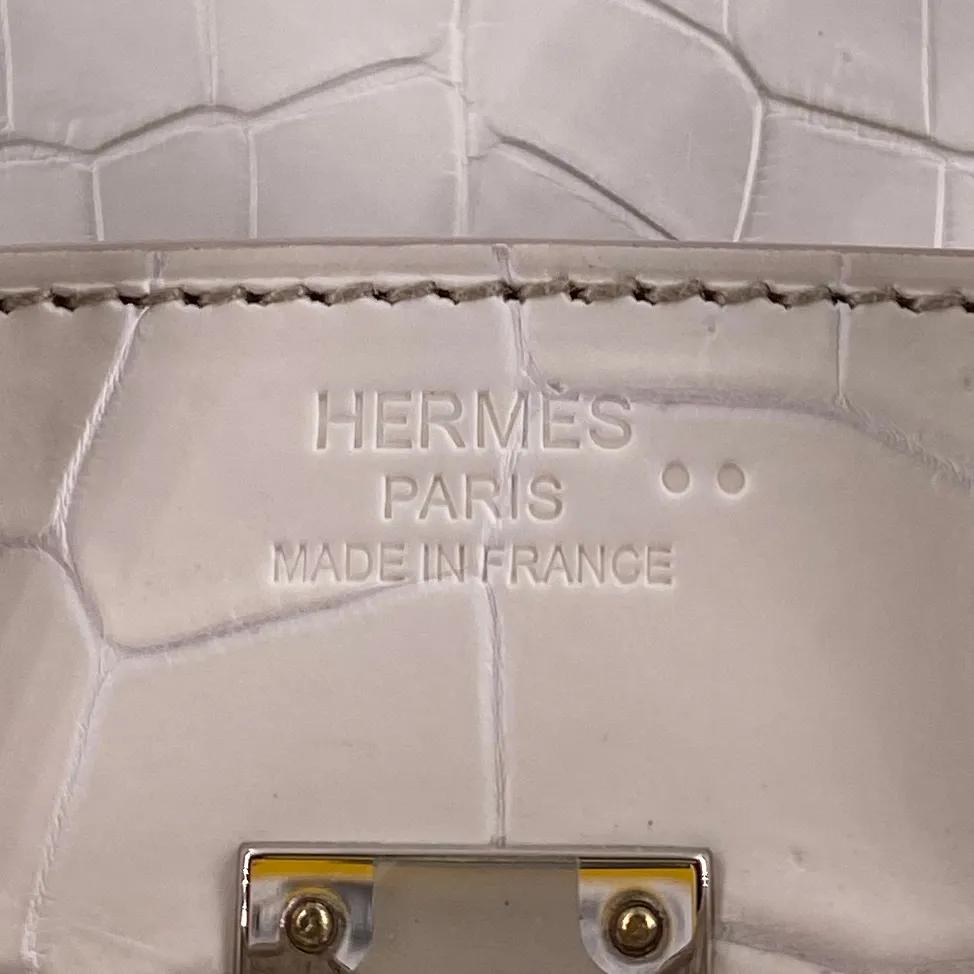 專家指南|一文教你讀懂愛馬仕的鱷魚皮手袋