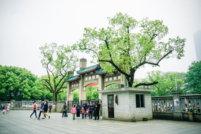 长沙三天两夜吃喝玩乐,长沙三天两晚自由行攻略酒店