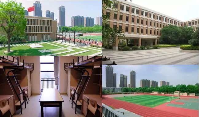 “澳洲老师+澳洲学伴”的郑州ANC冬令营到底值不值得去？