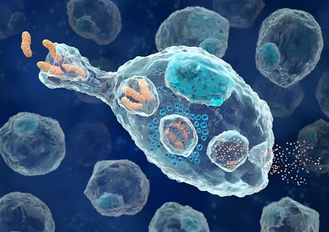 一年不发烧不感冒身体健康吗,常年不发烧的人需要检查什么吗