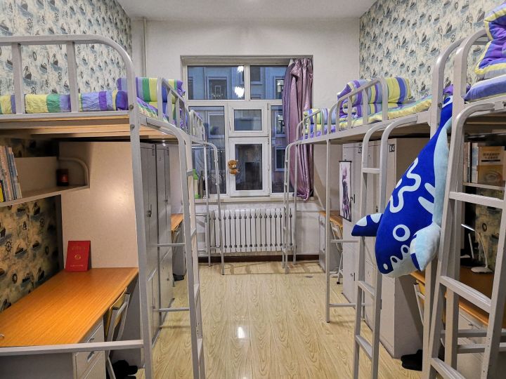 黑龙江东方学院院系,黑龙江省内大学本科