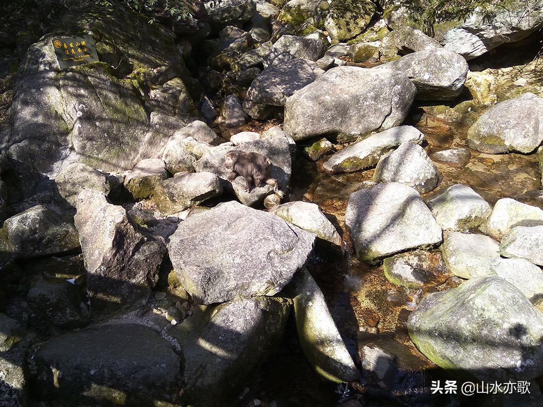 石家庄至黄山自驾游攻略,石家庄黄山自驾游中途有哪些景点