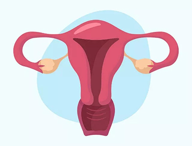 子宫内膜薄怎么才能怀孕,吃柚子对子宫内膜有影响吗