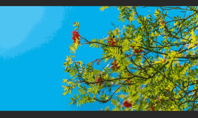 ps抠图换背景10种方法,ps颜色范围抠图方法