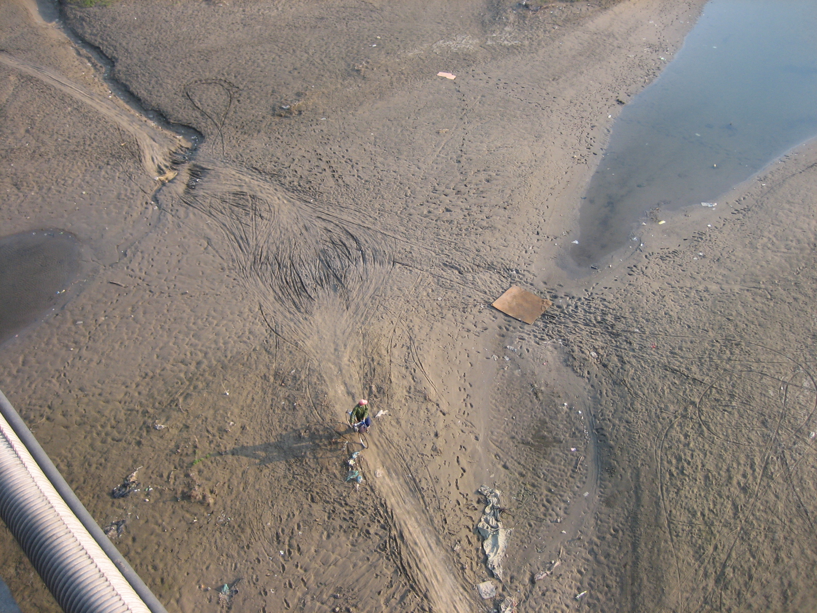 我钓鱼时常遇到的那位高手老黄，钓法出其不意，鱼获总是很多……