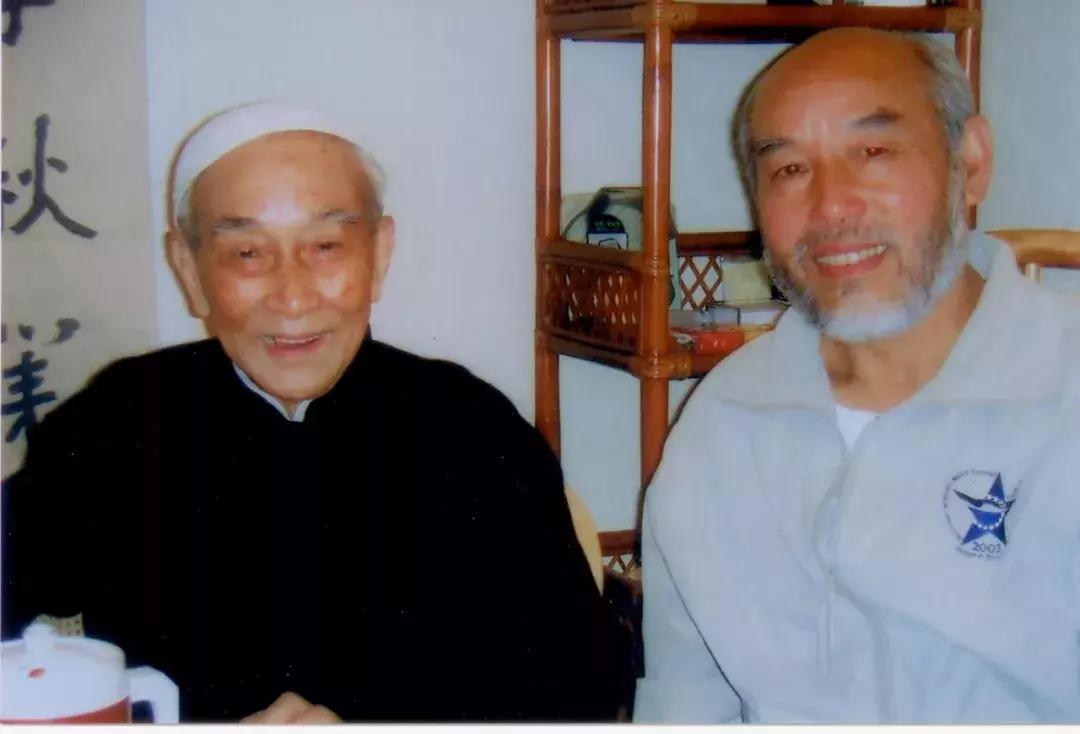 南怀瑾老师关于学医的启示|医理与医技