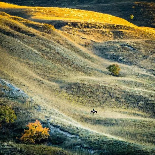 小林｜常恐秋风早，飘零君不知