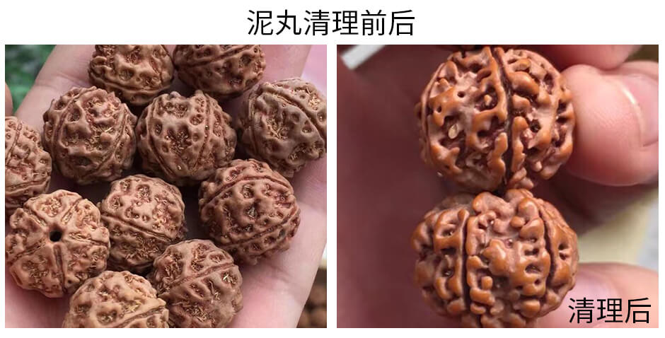 金刚菩提手串,印尼金刚菩提