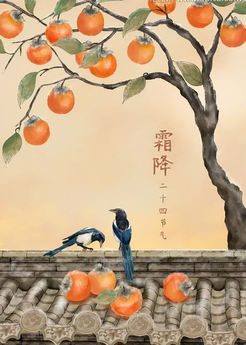 「霜降特刊」一层层伏肩的秋霜，是季节给我伤口敷上的膏药