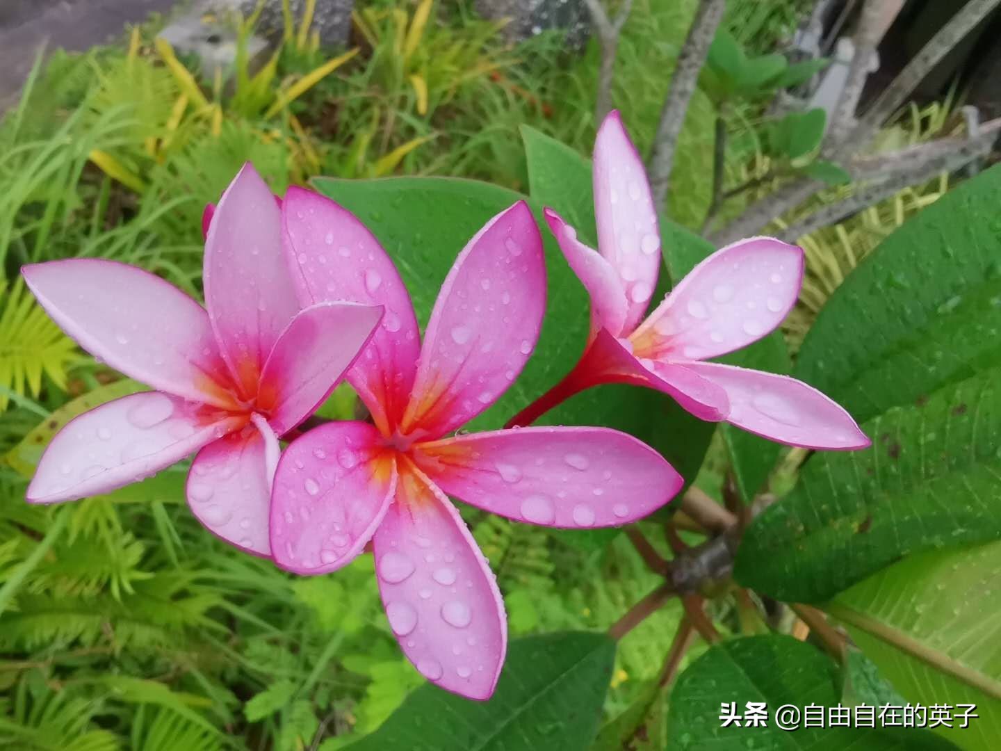 菲律宾长滩还能去吗,菲律宾长滩岛的海