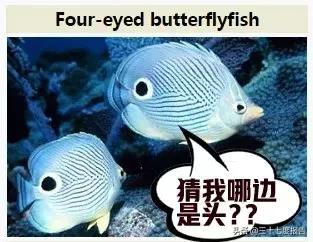 不喂奶也要开奶么,不喂奶该做什么