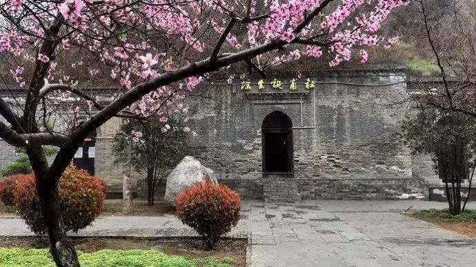 女神节相约美丽,女神节相约一起踏青赏花