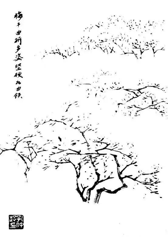 树的画法与表现技巧,树简单素描画