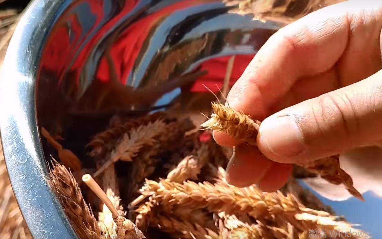 国外大米涨价最新信息,国际水稻涨价的最新信息