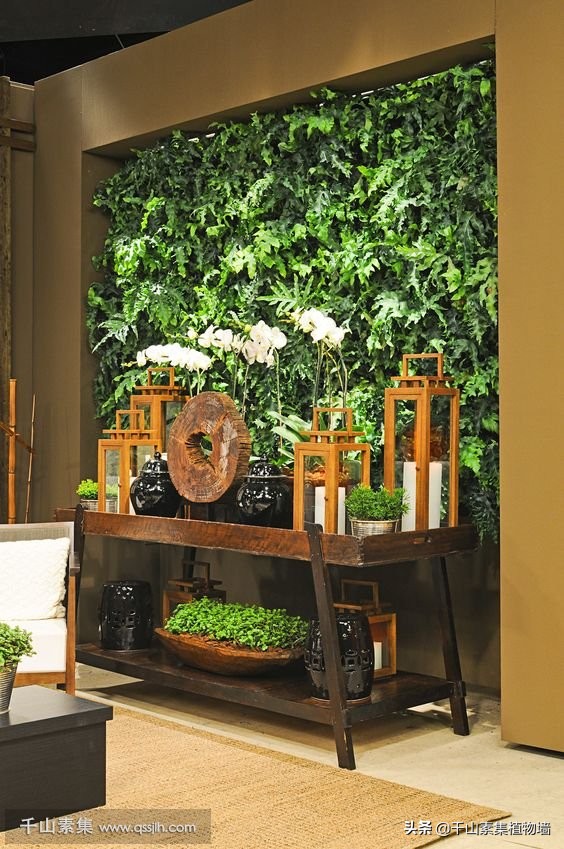 植物墙一般用什么植物,植物墙制作注意事项