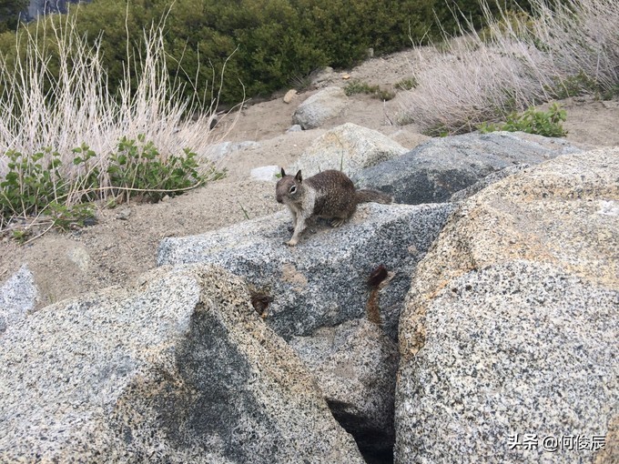 美国优胜美地冰川观景点,优胜美地冰川峰顶