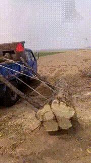 每日一笑看完你能不能忍住不笑,每日一笑看了让你笑