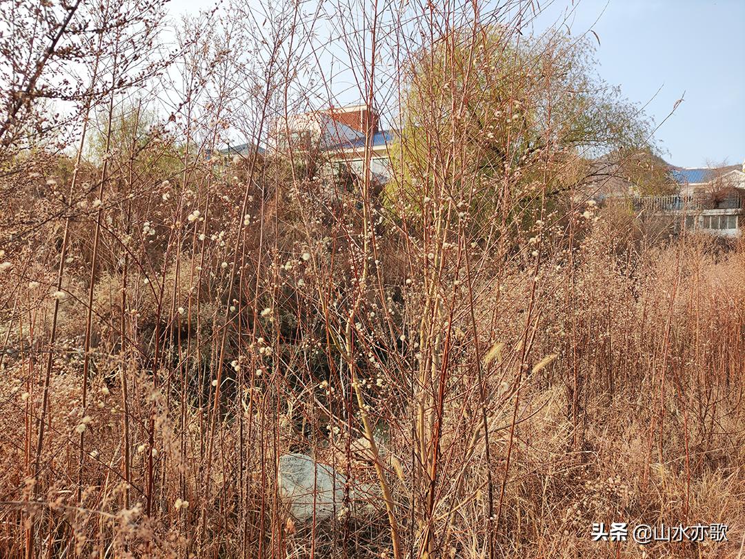 石家庄真正值得去的景点,石家庄最值得去看看的景点