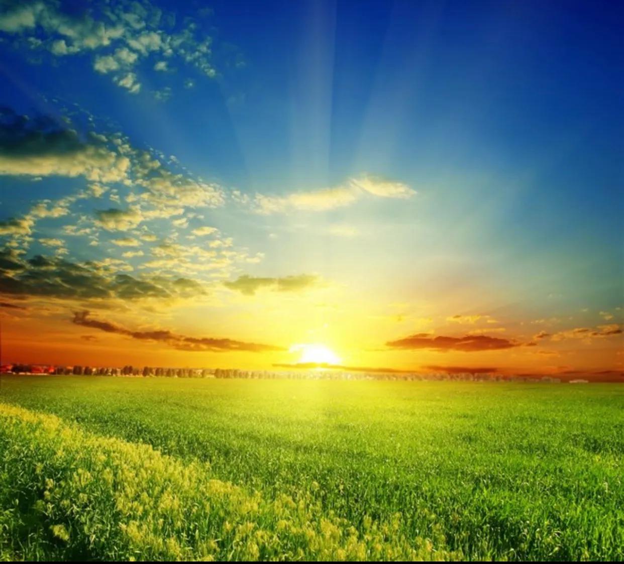 滋阴养肾泻火清热的最佳治疗方法,治疗阴虚湿热可以边补边泻吗