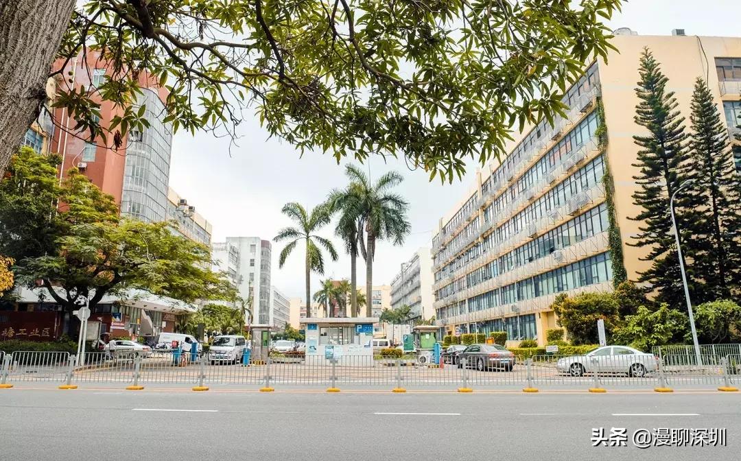 深圳空气中氡含量全国第一,深圳市负氧离子大概是多少