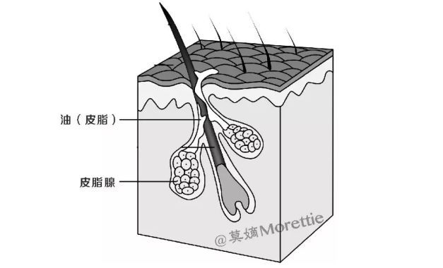头发干枯分叉怎么护理,漂完头发干枯怎么护理