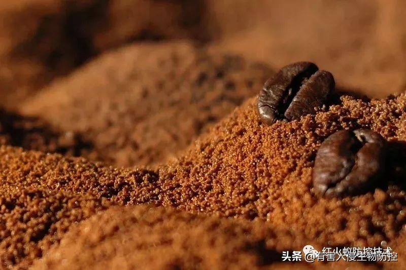 蚂蚁进屋怎么驱赶,蚂蚁进家了用什么能赶走