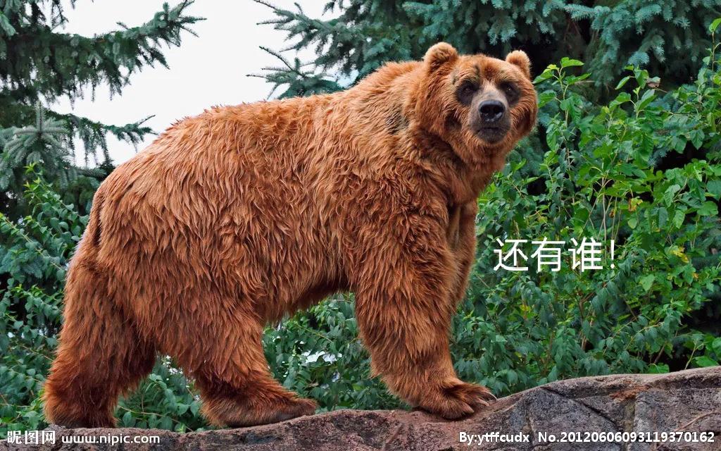 如何成为蓝星聊天群管理员攻略指南