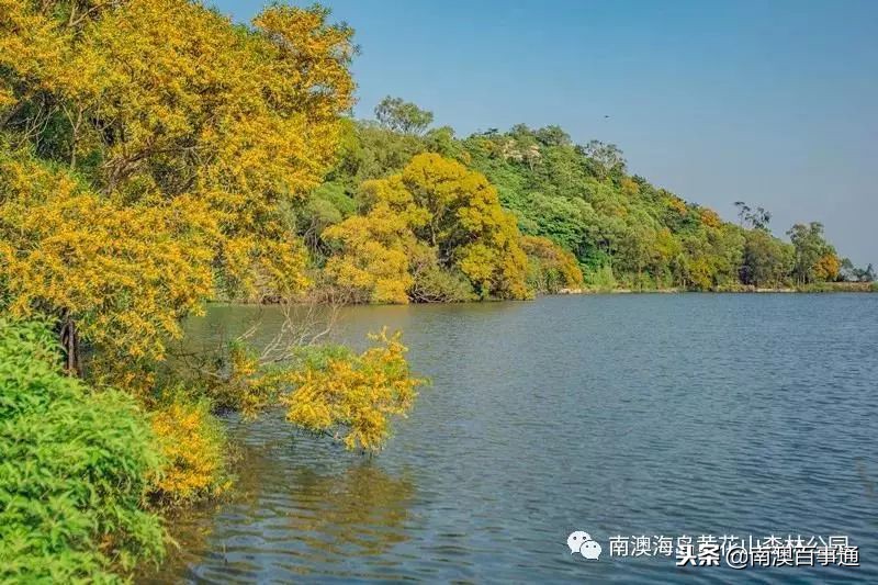 登上山顶鸟瞰全景,汕头濠江山顶看海