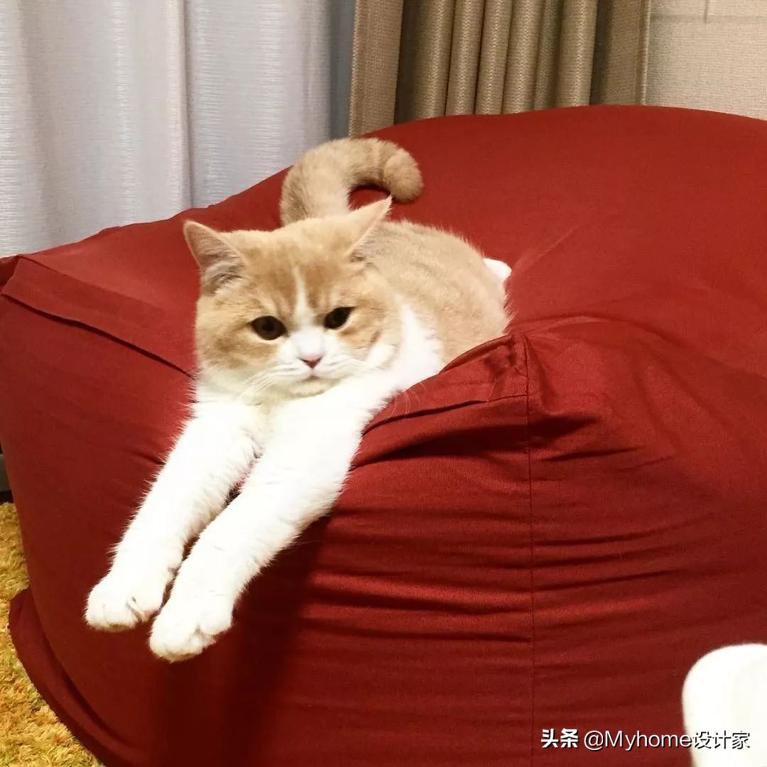 瀹滃鍜宮uji瀹跺眳,瀹滃muji