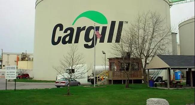 美国十大富豪榜洛克菲勒家族1996,美国嘉吉集团总资产