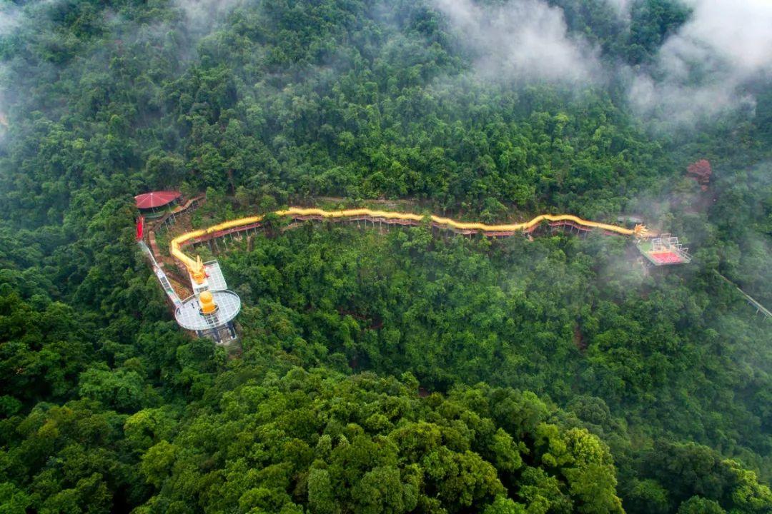 网红玻璃桥悬崖秋千,网红旅游打卡玻璃滑道